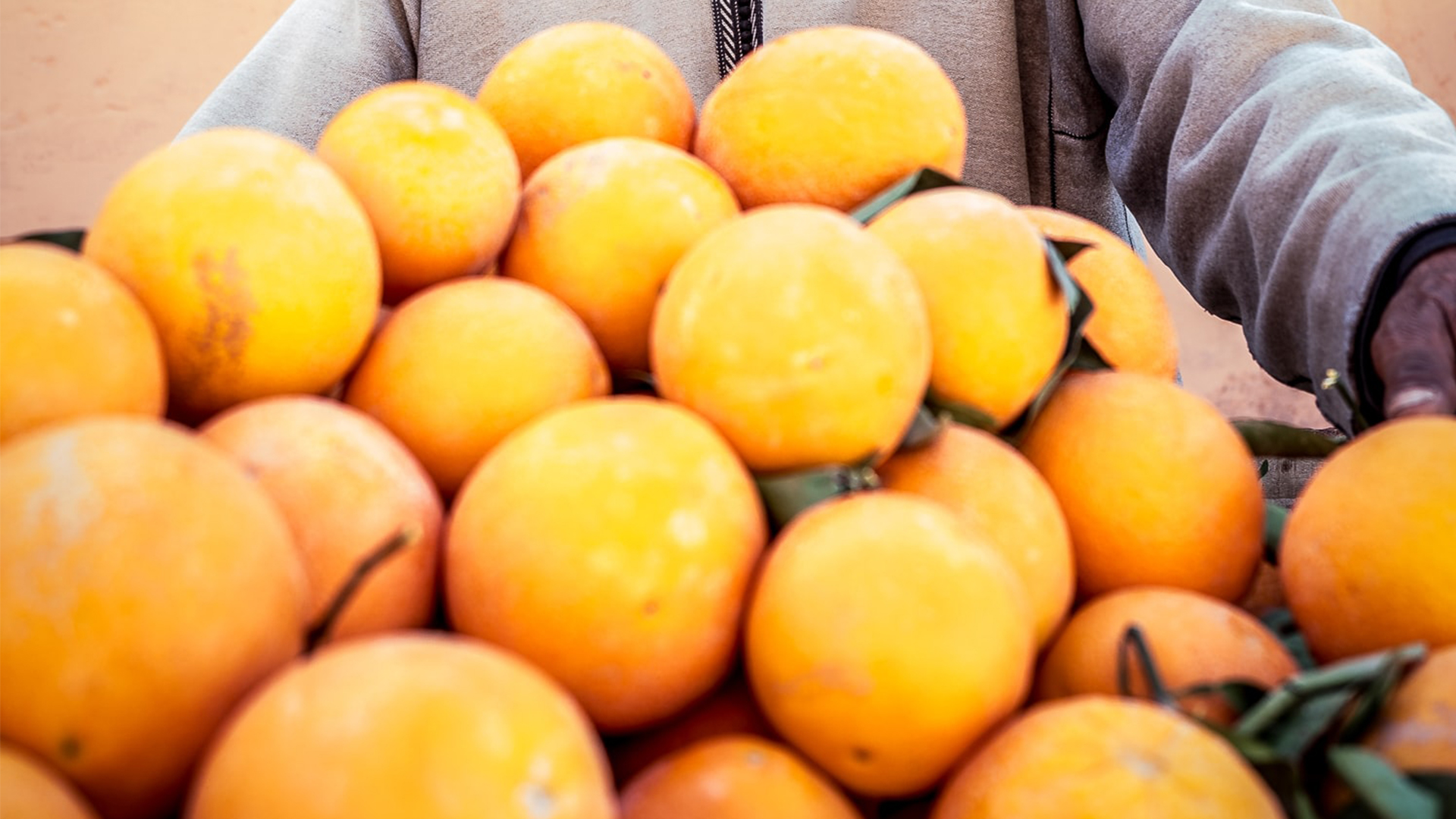 A farmer selling oranges at a food market in Marrakech