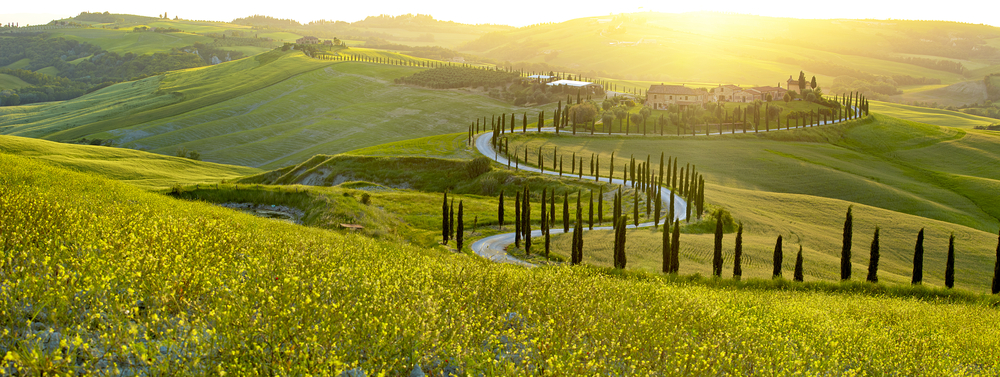 Tuscany wine region
